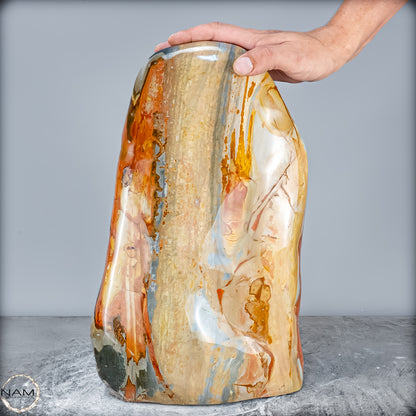 Natürliche Große Polychrome Jaspis Kristall-Freiform - 23724,59g