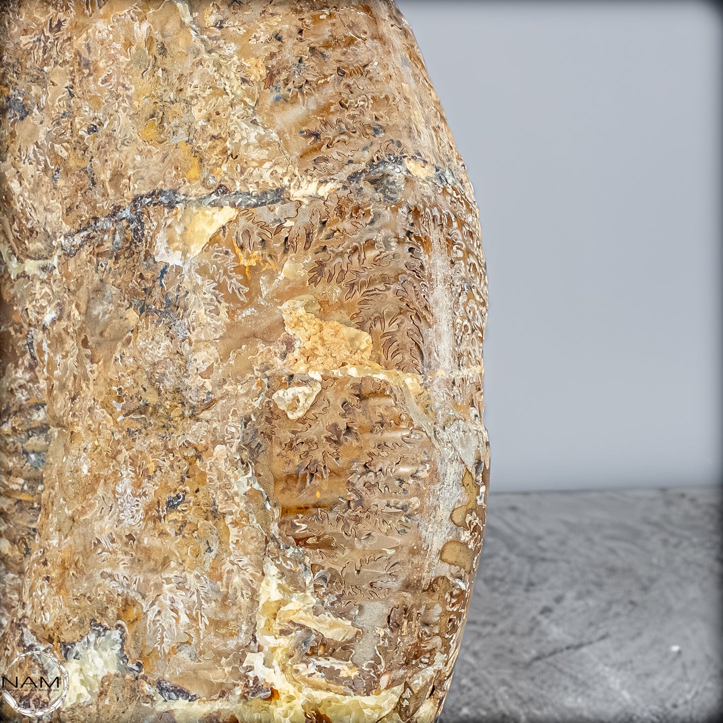 Natürliches Ammoniten-Fossil in Septarien-Matrix, sehr selten - 17215,47g