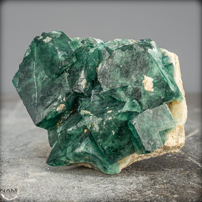 Natürliche Grüne Fluorit Kristalle auf Matrix - 1300,82g