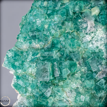 Natürliche Grüner Fluorit Kristalle auf Matrix - 24752,62g