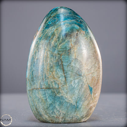 Natürliche Blaue Apatit Kristall-Freiform - 787,99g