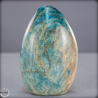 Natürliche Blaue Apatit Kristall-Freiform - 787,99g