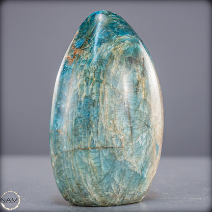 Natürliche Blaue Apatit Kristall-Freiform - 787,99g