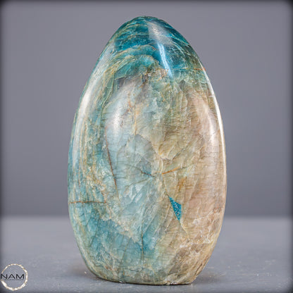 Natürliche Blaue Apatit Kristall-Freiform - 787,99g