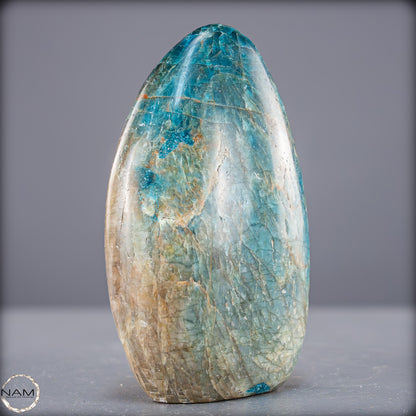 Natürliche Blaue Apatit Kristall-Freiform - 787,99g