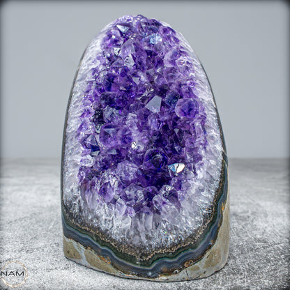 Natürliche Amethyst-Kristall Druse -864,77 g