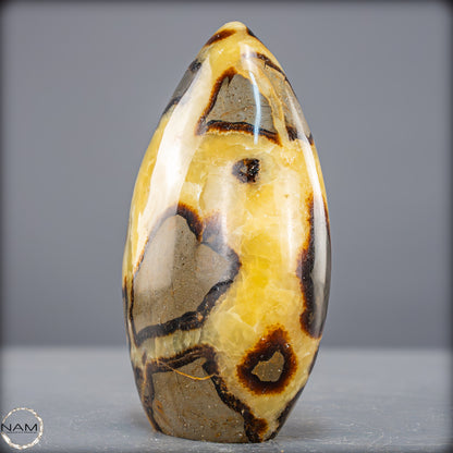 Natürliche Septarien-Kristall Freiform - 873,39g