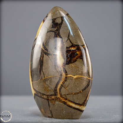 Natürliche Septarien-Kristall Freiform - 873,39g