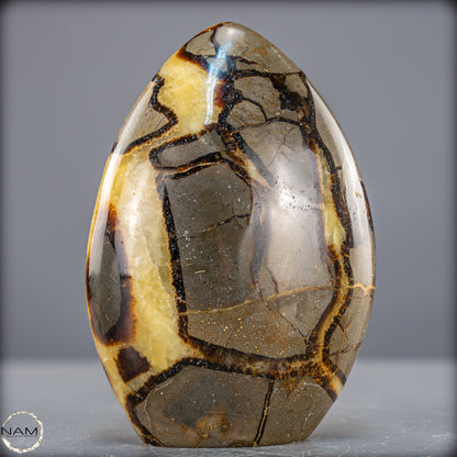 Natürliche Septarien-Kristall Freiform - 873,39g