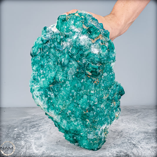 Natürliche Grüner Fluorit Kristalle auf Matrix -10644,55g