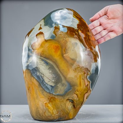 Natürliche Polychrome Jaspis Kristall-Freiform - 12544,74 g