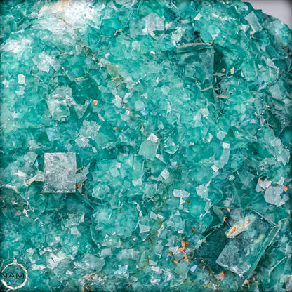 Natürliche Grüner Fluorit Kristalle auf Matrix -10644,55g
