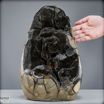 Natürliche Septarien Druse mit Calzit Kristallen, Spitzenqualität - 14643,21 g