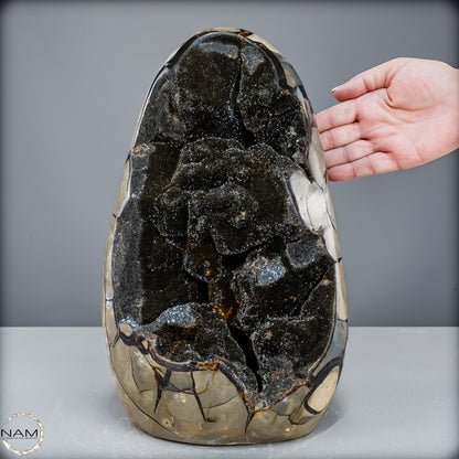 Natürliche Septarien Druse mit Calzit Kristallen, Spitzenqualität - 14643,21 g