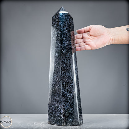 Natürlicher Merlinit (Gabbro) Kristall Obelisk - 5846,12 g