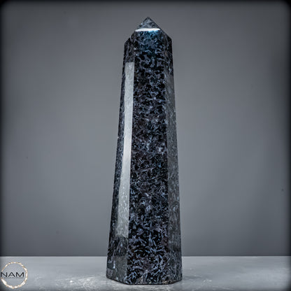Natürlicher Merlinit (Gabbro) Kristall Obelisk - 5846,12 g