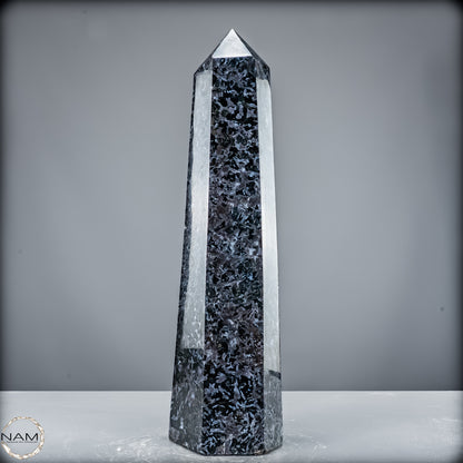 Natürlicher Merlinit (Gabbro) Kristall Obelisk - 5846,12 g