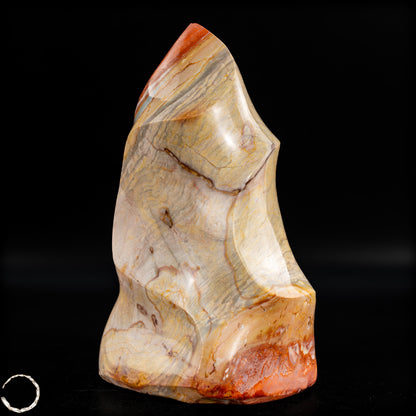 Natürliche Polychrome Jaspis Kristall-Flamme - 1003,04g
