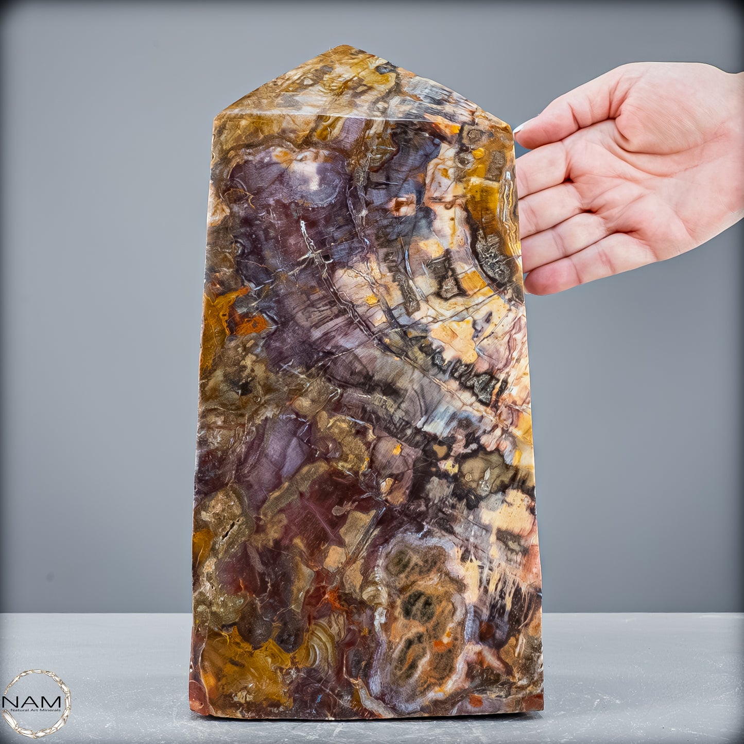 Natürliche Kristall-Freiform aus Versteinertem Holz  - 8947,21 g