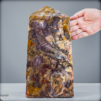 Natürliche Kristall-Freiform aus Versteinertem Holz  - 8947,21 g