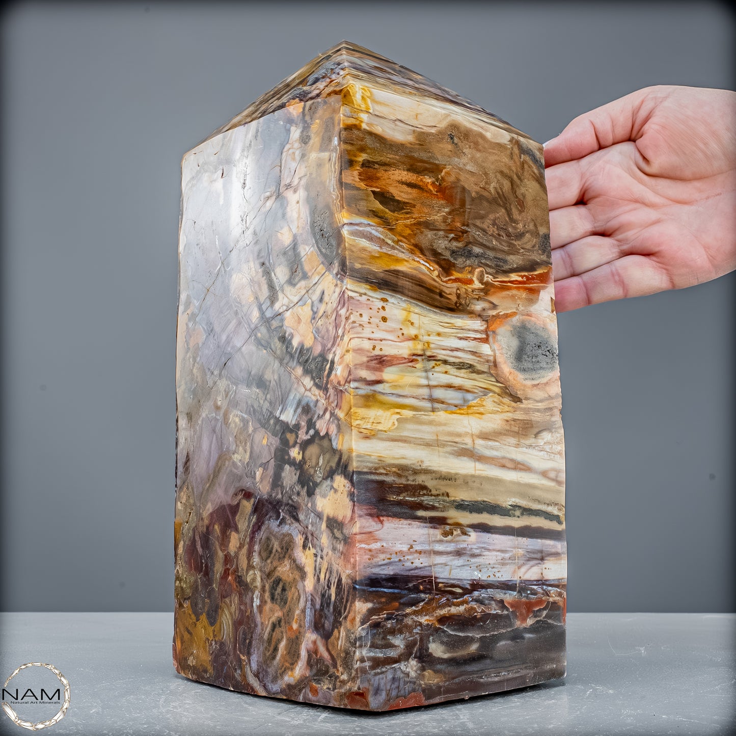 Natürliche Kristall-Freiform aus Versteinertem Holz  - 8947,21 g