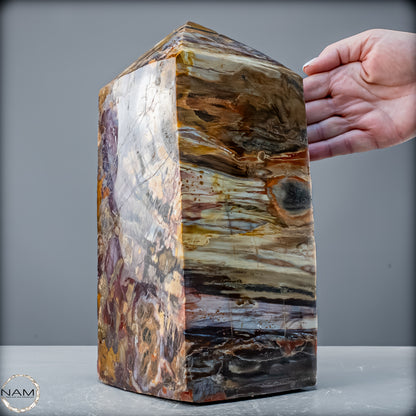 Natürliche Kristall-Freiform aus Versteinertem Holz  - 8947,21 g