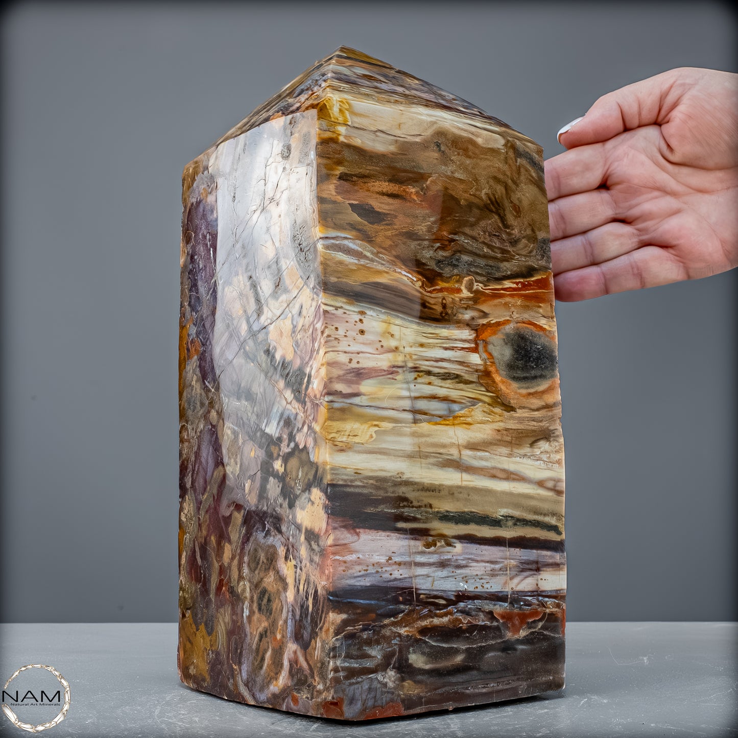 Natürliche Kristall-Freiform aus Versteinertem Holz  - 8947,21 g