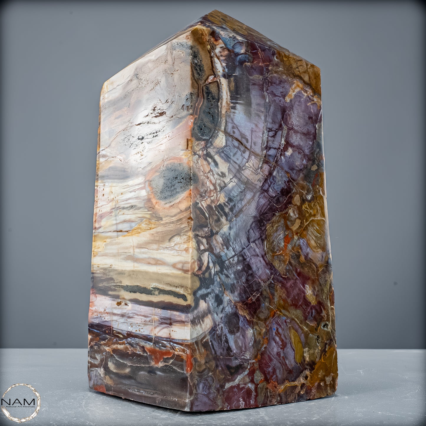 Natürliche Kristall-Freiform aus Versteinertem Holz  - 8947,21 g