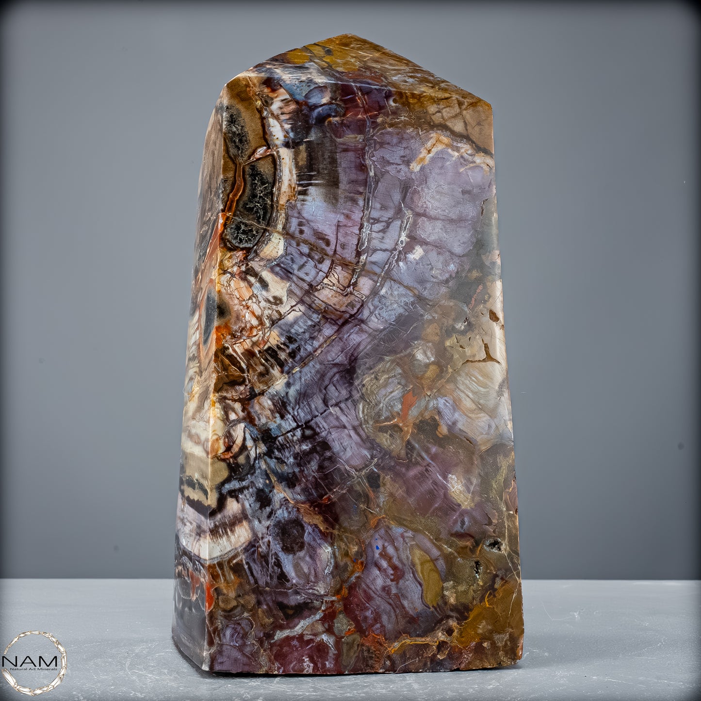 Natürliche Kristall-Freiform aus Versteinertem Holz  - 8947,21 g