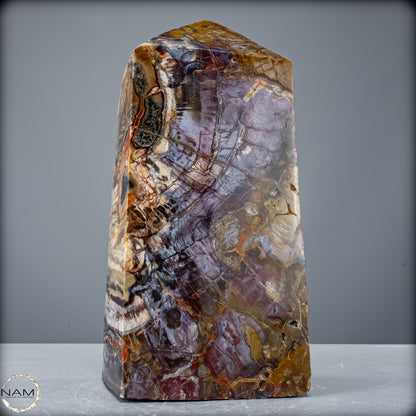 Natürliche Kristall-Freiform aus Versteinertem Holz  - 8947,21 g