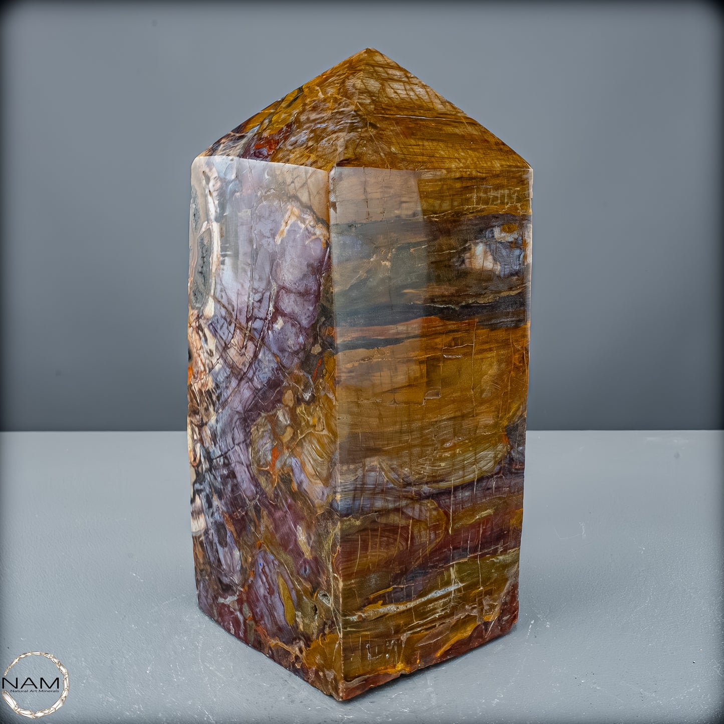 Natürliche Kristall-Freiform aus Versteinertem Holz  - 8947,21 g