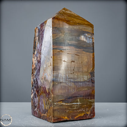 Natürliche Kristall-Freiform aus Versteinertem Holz  - 8947,21 g