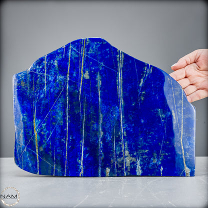 Natürliche Lapislazuli Kristall-Freiform - 6064,13 g
