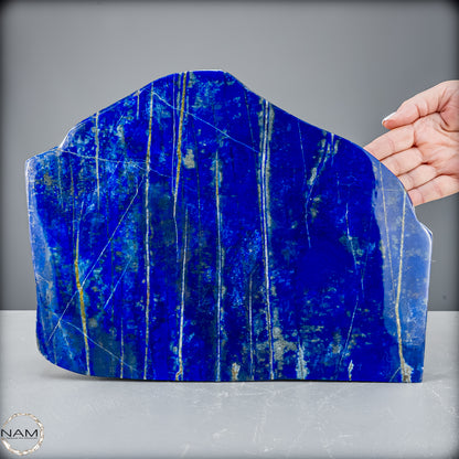Natürliche Lapislazuli Kristall-Freiform - 6064,13 g
