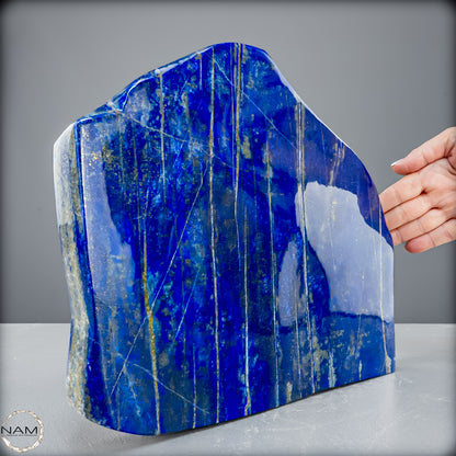 Natürliche Lapislazuli Kristall-Freiform - 6064,13 g