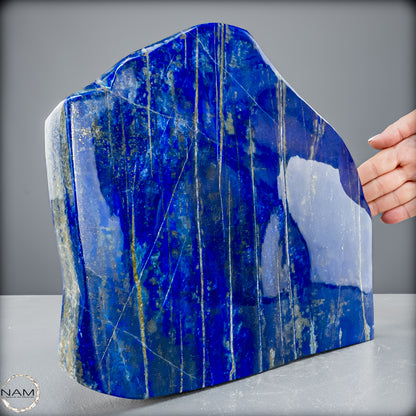 Natürliche Lapislazuli Kristall-Freiform - 6064,13 g
