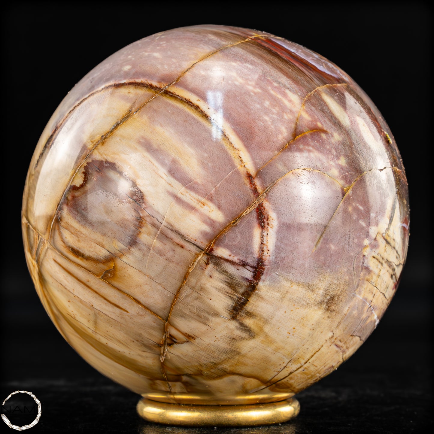 Natürliche Kristall-Kugel aus Versteinertem Holz  - 1199,32g