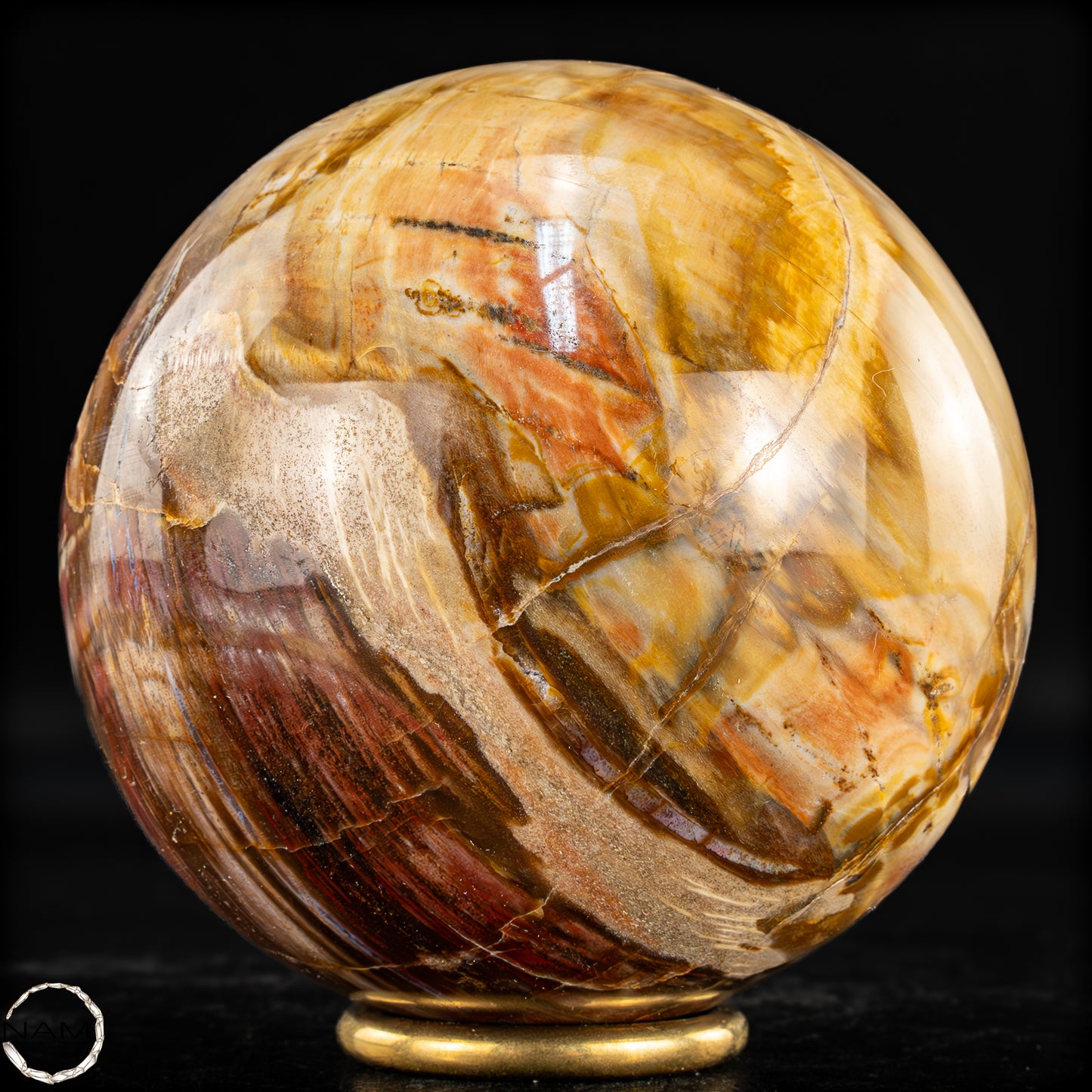 Natürliche Kristall-Kugel aus Versteinertem Holz  - 1199,32g
