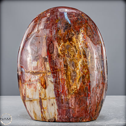 Natürliche Kristall-Freiform aus Versteinertem Holz  - 2454,61 g