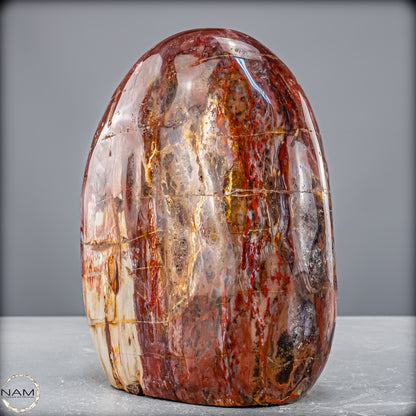 Natürliche Kristall-Freiform aus Versteinertem Holz  - 2454,61 g