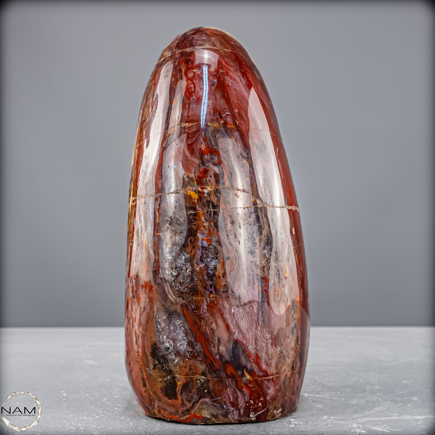 Natürliche Kristall-Freiform aus Versteinertem Holz  - 2454,61 g