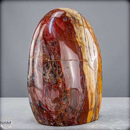 Natürliche Kristall-Freiform aus Versteinertem Holz  - 2454,61 g