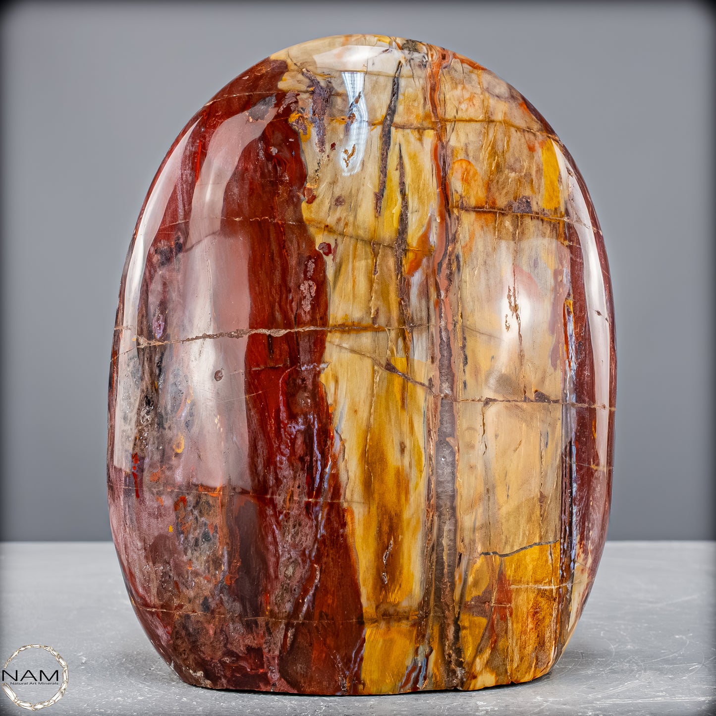 Natürliche Kristall-Freiform aus Versteinertem Holz  - 2454,61 g