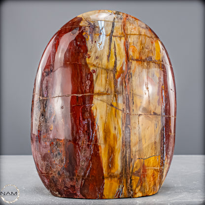 Natürliche Kristall-Freiform aus Versteinertem Holz  - 2454,61 g