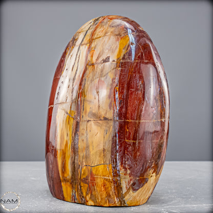 Natürliche Kristall-Freiform aus Versteinertem Holz  - 2454,61 g