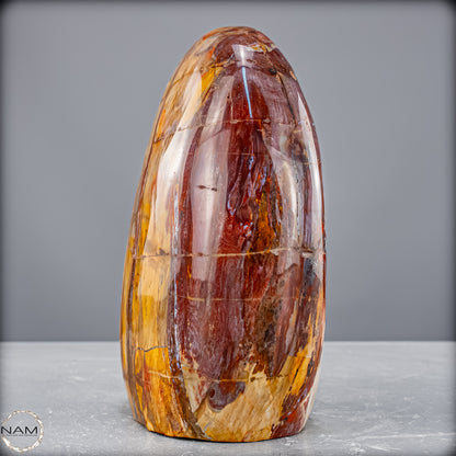 Natürliche Kristall-Freiform aus Versteinertem Holz  - 2454,61 g