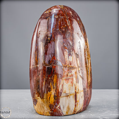 Natürliche Kristall-Freiform aus Versteinertem Holz  - 2454,61 g