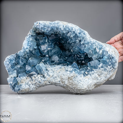 Natürliche Celestit Kristall-Druse - 12967,14 g