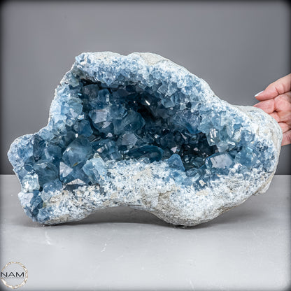 Natürliche Celestit Kristall-Druse - 12967,14 g