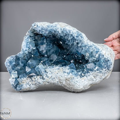 Natürliche Celestit Kristall-Druse - 12967,14 g